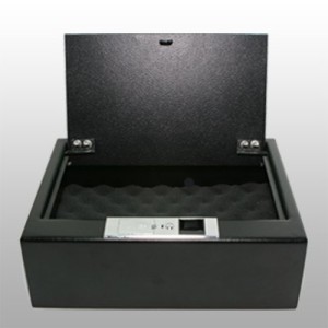 LockSafe Biometric Pistol Safe